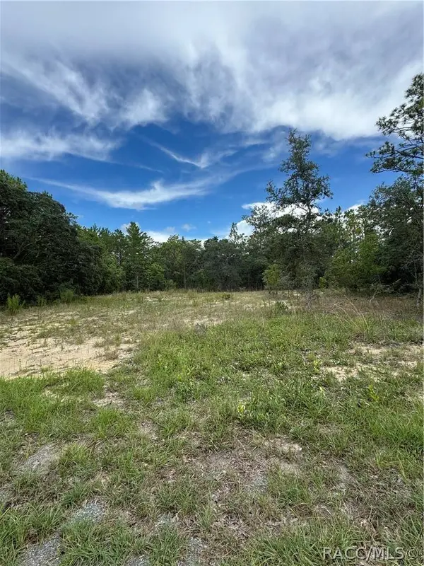 9 Hackberry CT S, Homosassa, FL 34446
