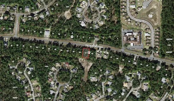 5568 W Oak Park BLVD, Homosassa, FL 34446