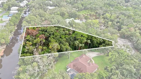 12388 W Restview CT, Homosassa, FL 34448
