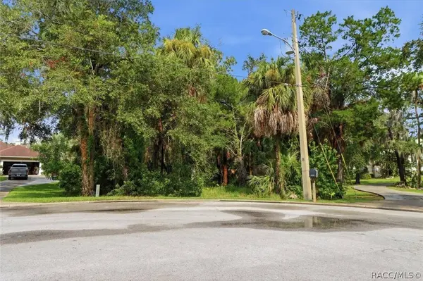 12388 W Restview CT, Homosassa, FL 34448