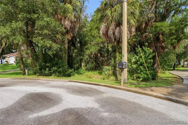 12388 W Restview CT, Homosassa, FL 34448