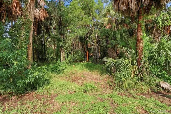 12388 W Restview CT, Homosassa, FL 34448