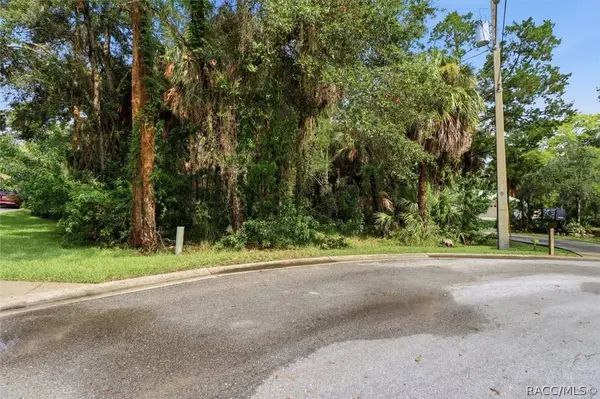 12388 W Restview CT, Homosassa, FL 34448
