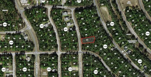11031 N Mataro AVE, Citrus Springs, FL 34434