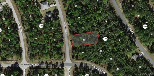 11031 N Mataro AVE, Citrus Springs, FL 34434