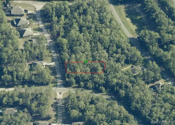 11031 N Mataro AVE, Citrus Springs, FL 34434