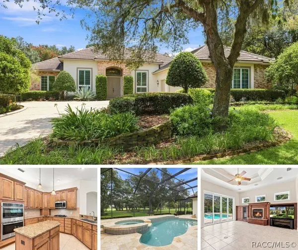 3405 N Spyglass Village PATH, Lecanto, FL 34461