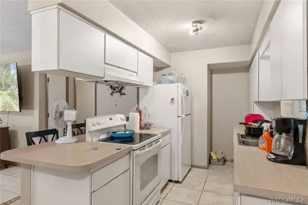 6149 W Appomattox LN, Homosassa, FL 34448