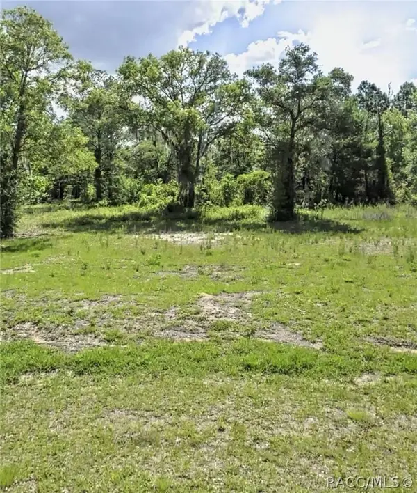 TBD SW Hyacinth CT, Dunnellon, FL 34431