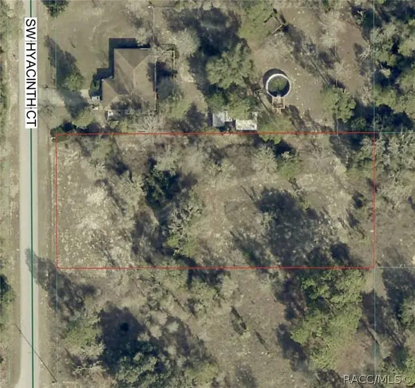 TBD SW Hyacinth CT
