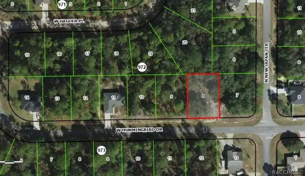 685 W Hummingbird DR, Citrus Springs, FL 34434
