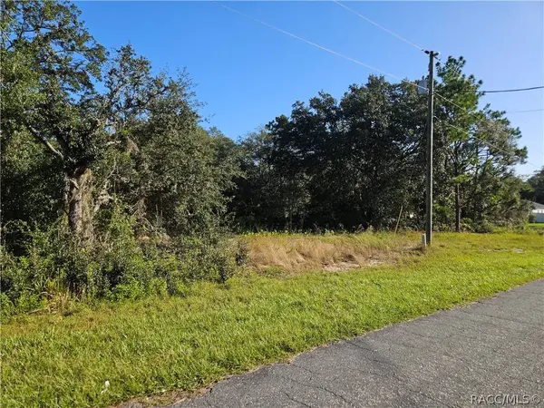 685 W Hummingbird DR, Citrus Springs, FL 34434