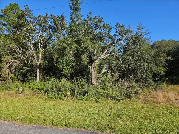 685 W Hummingbird DR, Citrus Springs, FL 34434