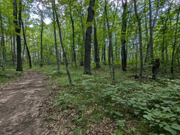 Lot 2 Fosmo, Webster, WI 54893