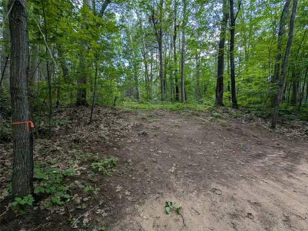 Lot 3 Fosmo, Webster, WI 54893