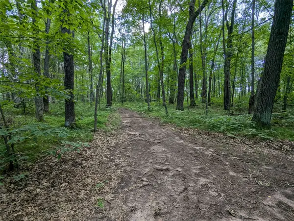 Lot 2 Fosmo, Webster, WI 54893