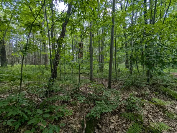 Lot 5 Fosmo, Webster, WI 54893