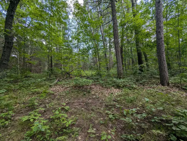 Lot 3 Fosmo, Webster, WI 54893