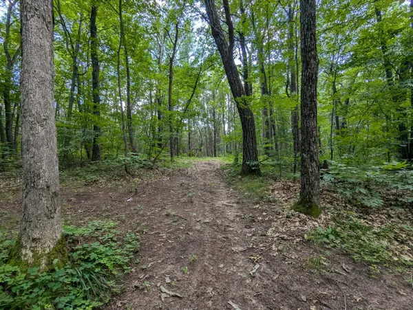 Lot 4 Fosmo, Webster, WI 54893