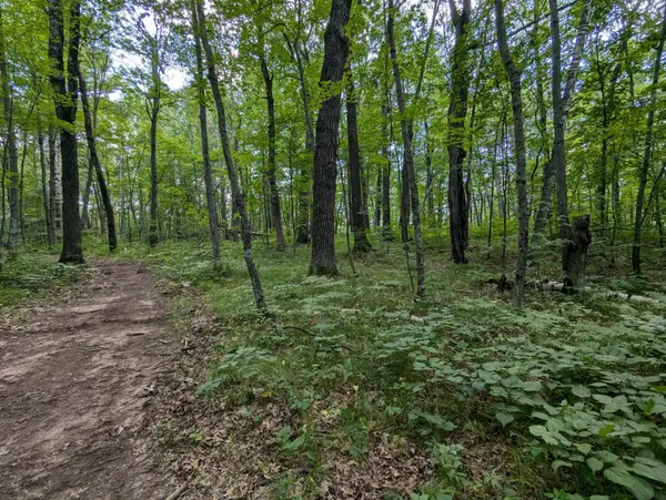 Lot 2 Fosmo, Webster, WI 54893