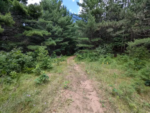 Lot 5 Fosmo, Webster, WI 54893