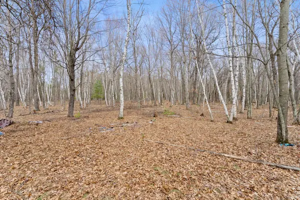 7108 Oakwood Pkwy, Webster, WI 54893