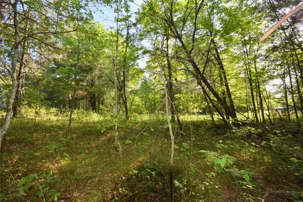 Lot 31 Setting Sun Trail Way, Danbury, WI 54830