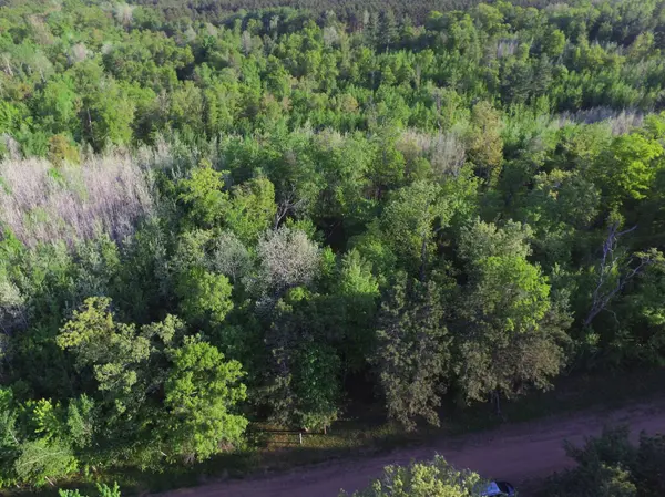 Lot 19 Aspen Hill Trailway, Webster, WI 54893
