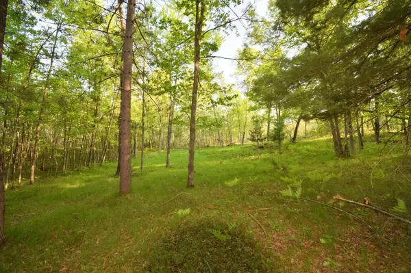 Lot 19 Aspen Hill Trailway, Webster, WI 54893