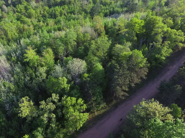 Lot 19 Aspen Hill Trailway, Webster, WI 54893