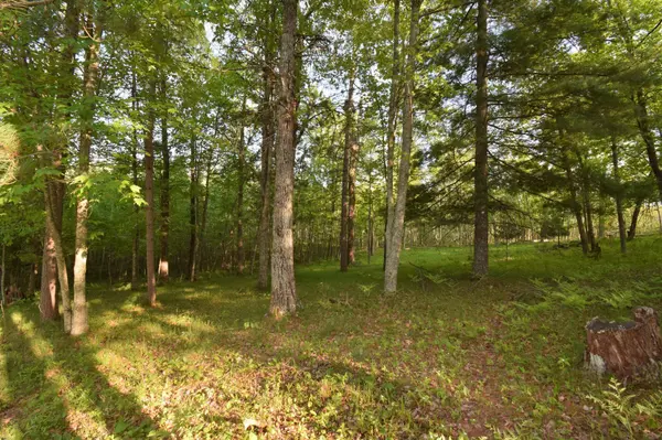 Lot 19 Aspen Hill Trailway, Webster, WI 54893
