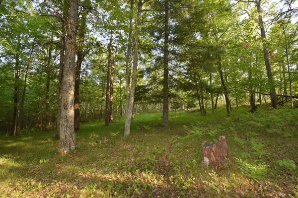 Lot 19 Aspen Hill Trailway, Webster, WI 54893