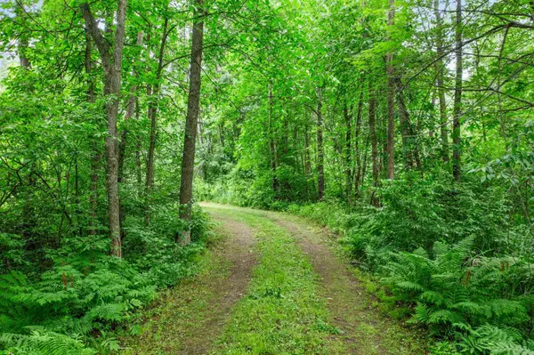 6675 Hideaway RD, Siren, WI 54872