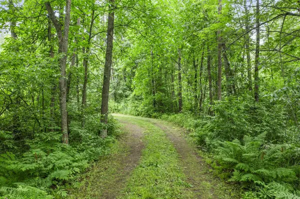 6675 Hideaway RD, Siren, WI 54872