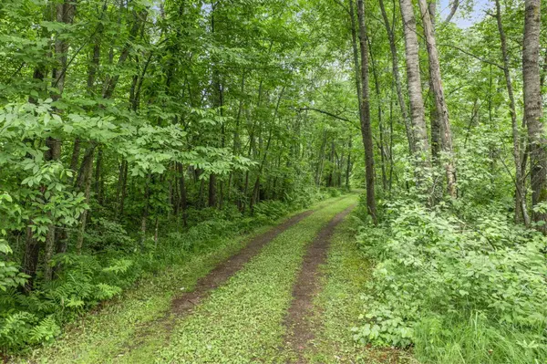 6675 Hideaway RD, Siren, WI 54872