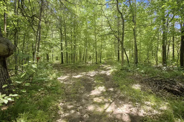 26670 Foxes Landing RD, Grantsburg, WI 54840