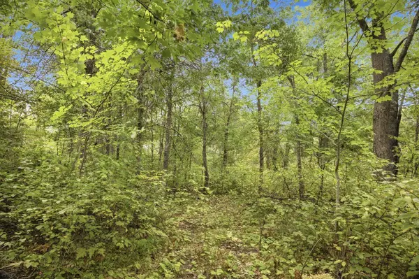 Lot 2 Little McGraw Lake Rd, Danbury, WI 54830