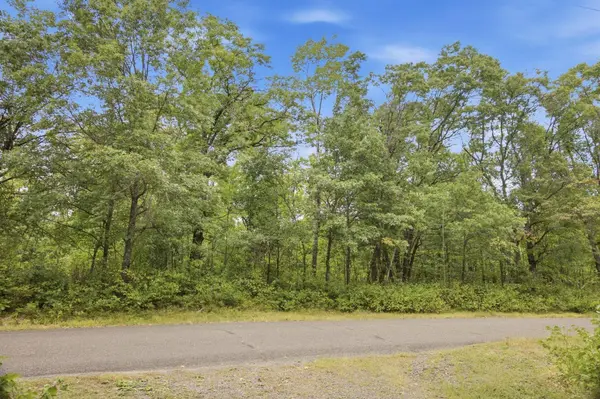 Lot 2 Little McGraw Lake Rd, Danbury, WI 54830