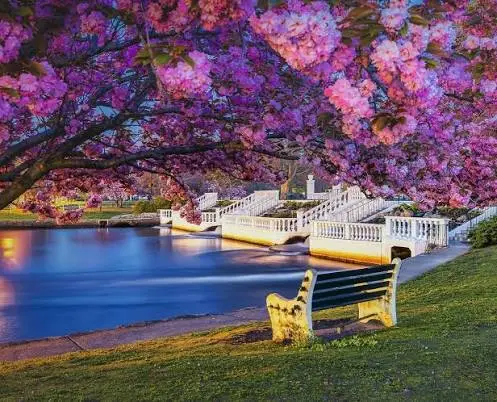 Discover Babylon Village: A Neighborhood Guide