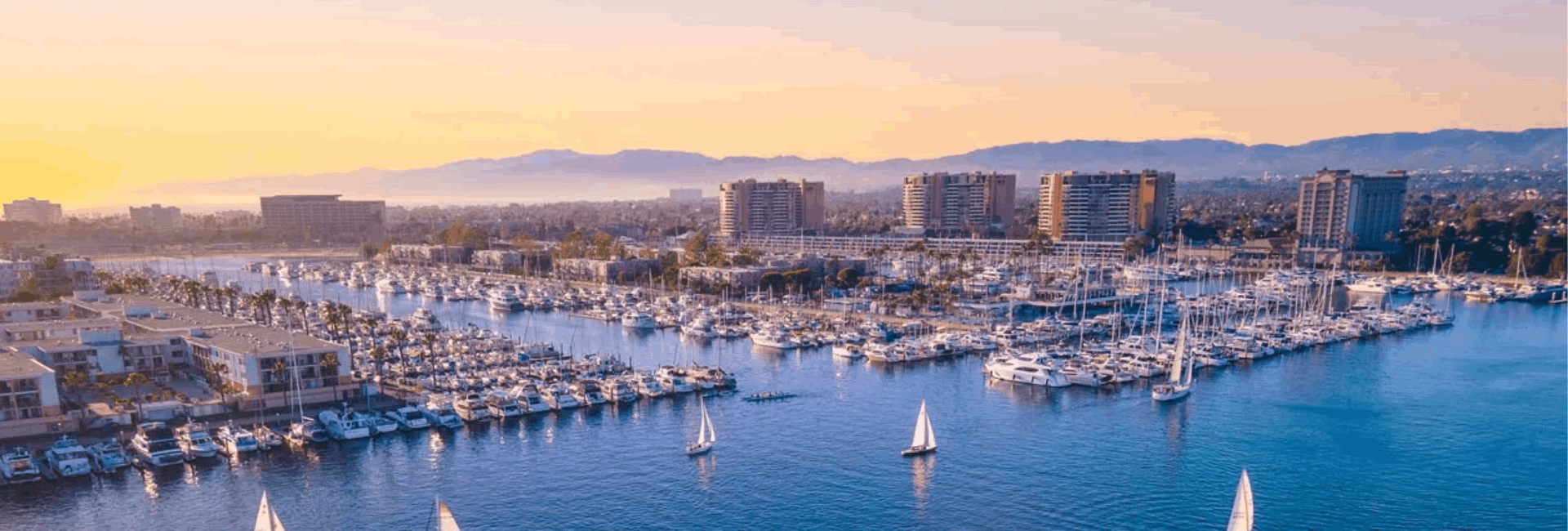 Untitled design (49)