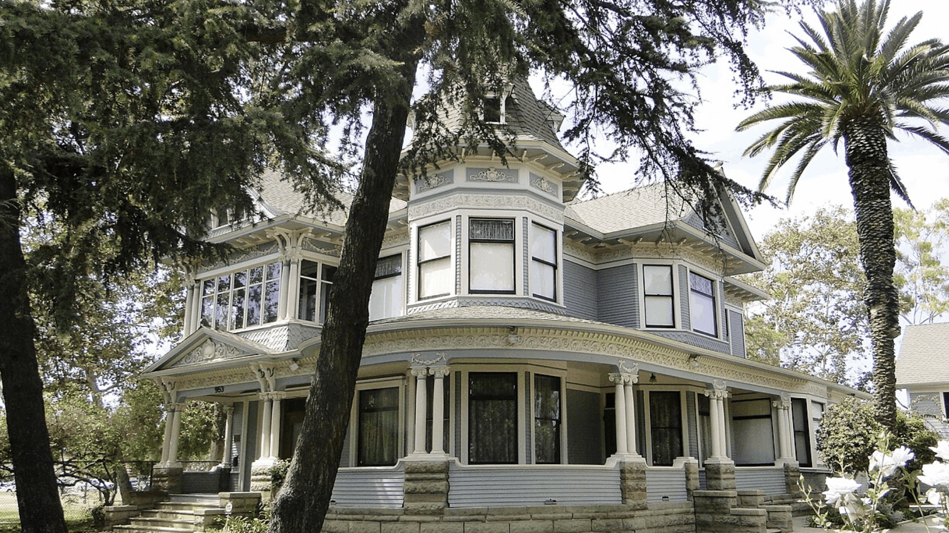 Untitled design (63)