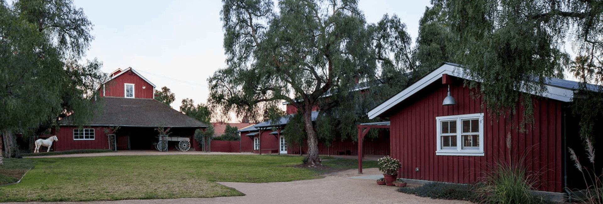 Untitled design (96)