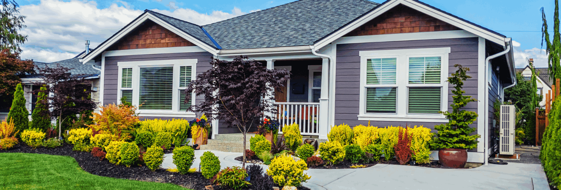 Untitled design (97)