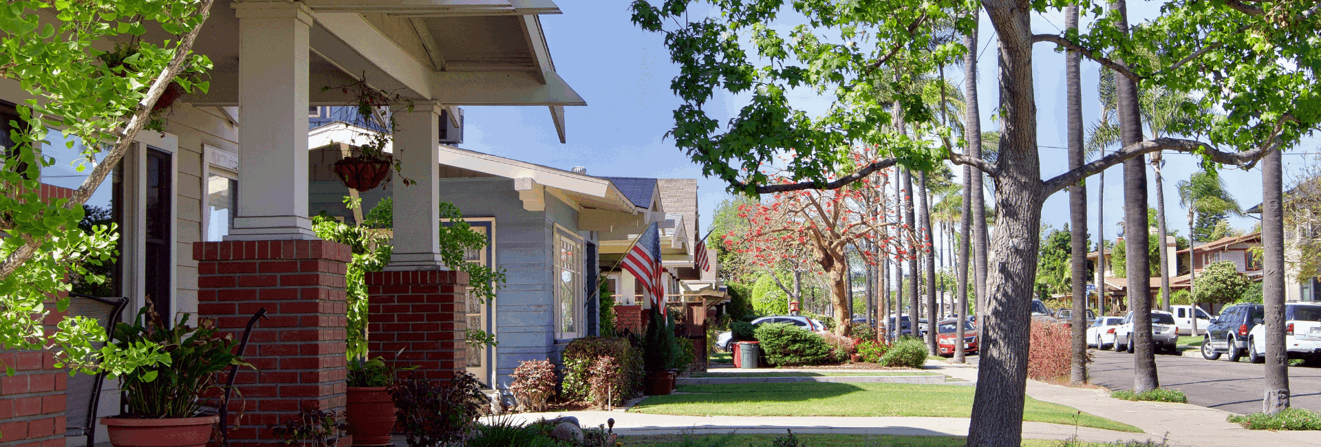 Untitled design - 2026-03-17T134704.020