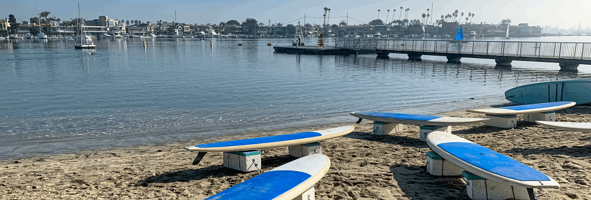 Untitled design - 2026-03-18T122040.301