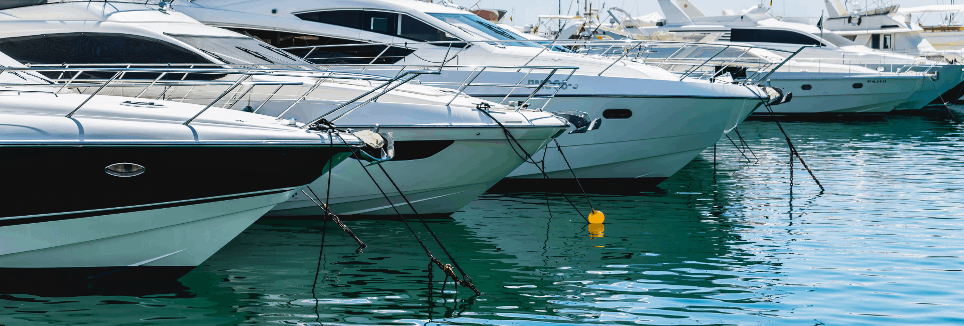 Untitled design - 2026-03-18T132319.356