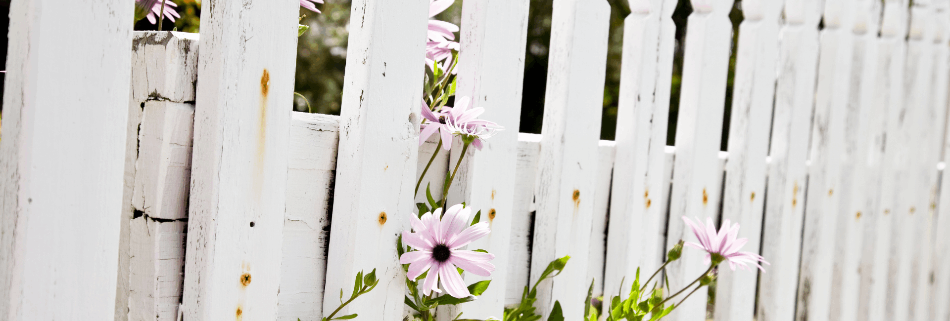 Untitled design - 2026-03-25T153709.060