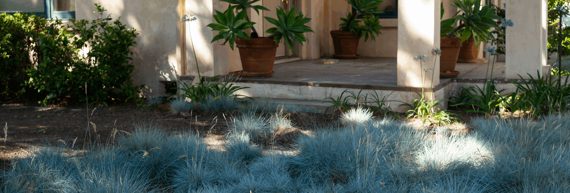 Untitled design - 2026-03-25T154905.511