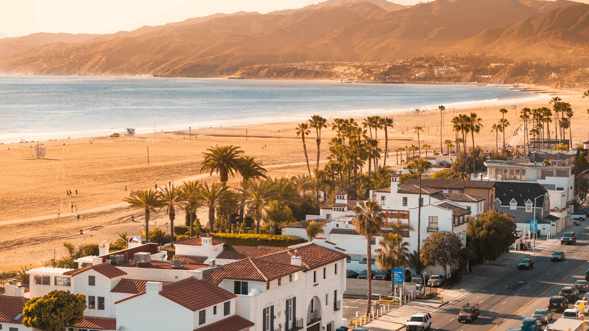 Untitled design (80)