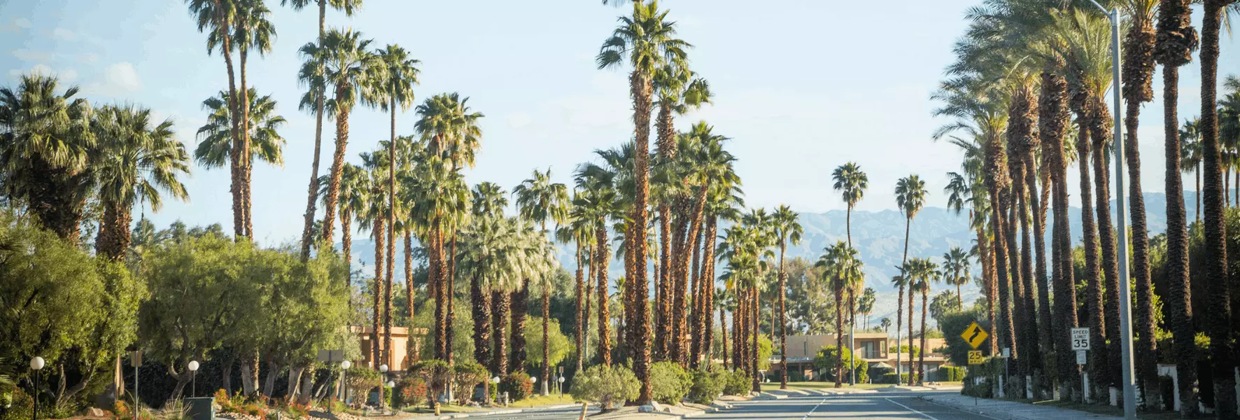 Palm Desert